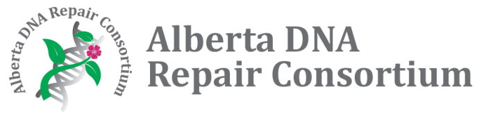 Alberta DNA Repair Consortium